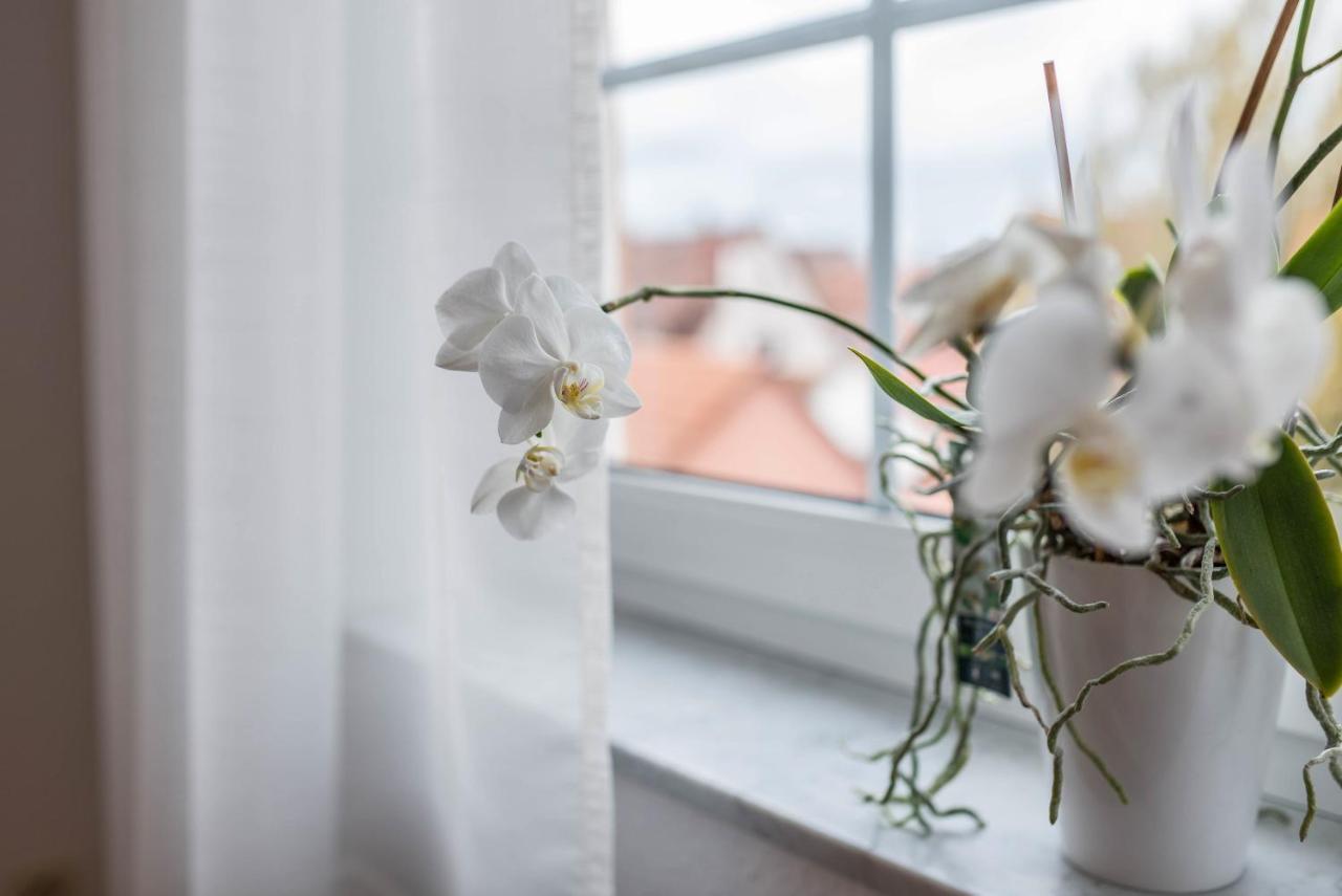 Apartement Aposto 3 Oberderdingen Eksteriør billede